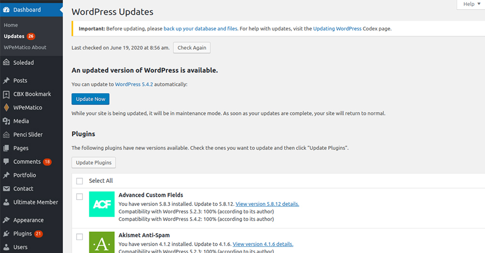 WordPress Updates